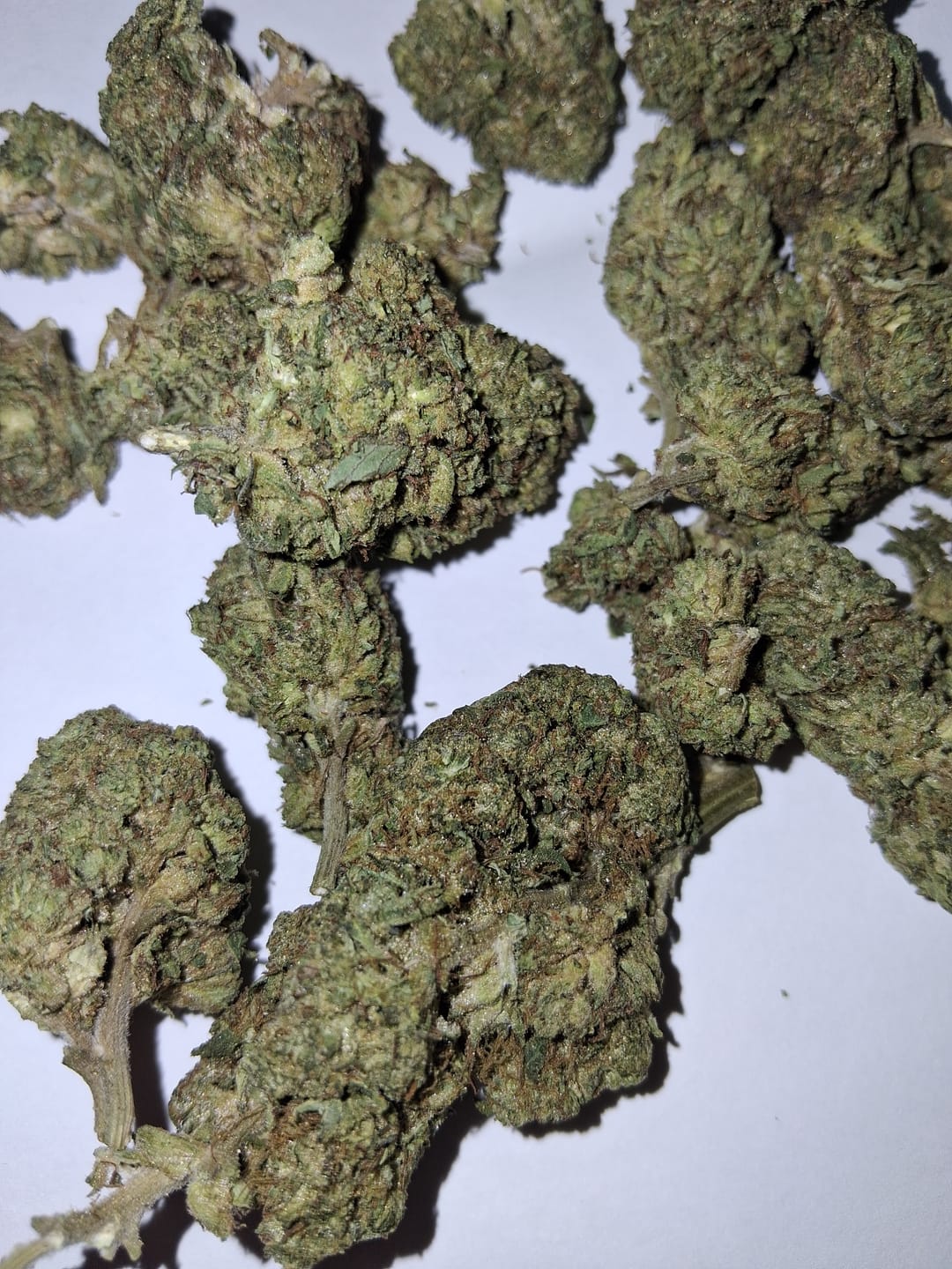 Customer photo review of Fruity Pebbles OG - 28 Grams - Indica