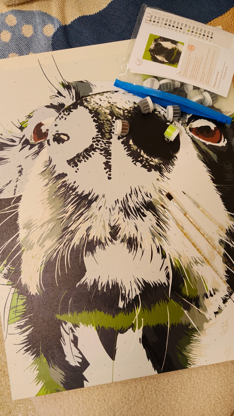 Customer photo review of Sniff Mode | Paint by Number