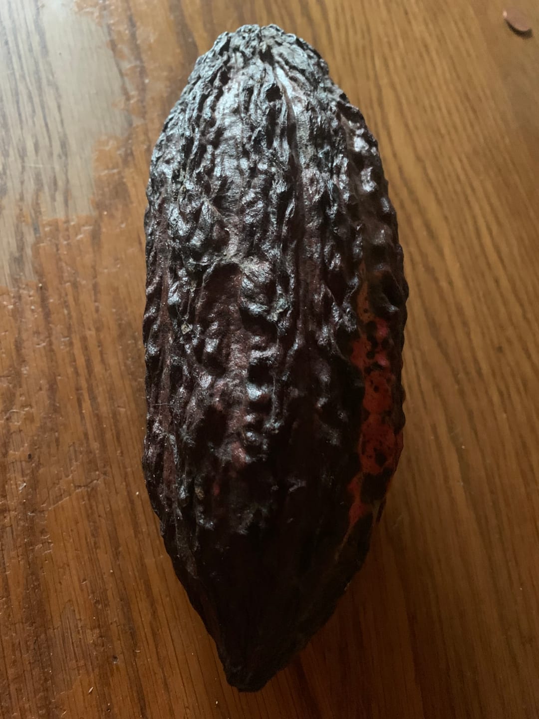 Customer photo review of Kakaofrucht naturbelassen