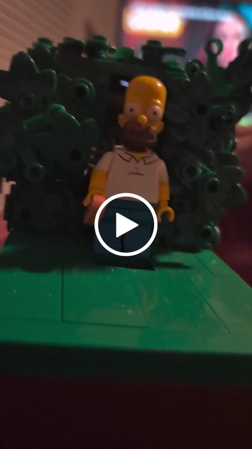 Customer video review of Buildable Homer in the Bushes Display Set