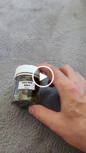 Customer video review of CALI MIX AAA+ – Premium Selection