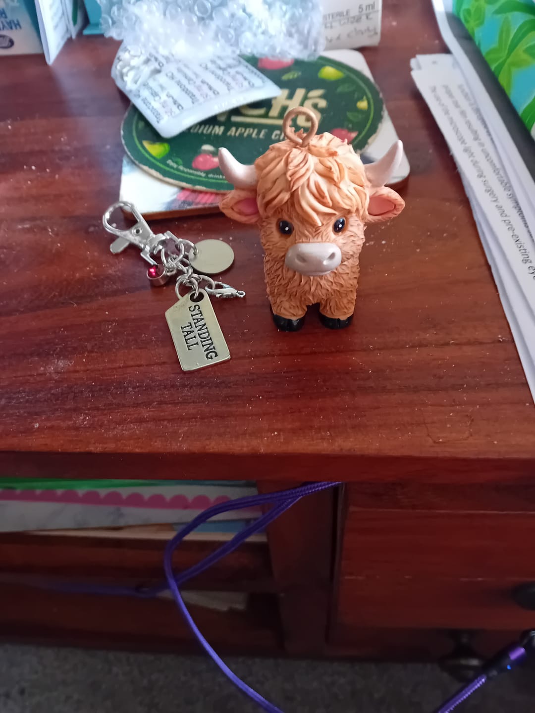 Customer photo review of 🐮A Little Highland Cow For You Keychain: Your Daily Reminder of Quiet Strength