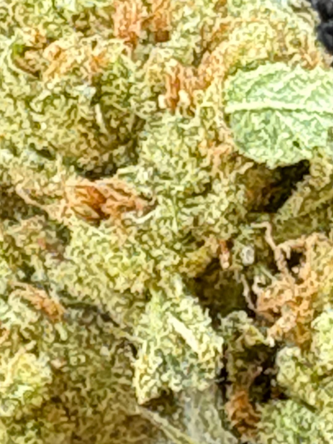 Customer photo review of Candy Runtz - Minis - 28 Grams - Hybrid
