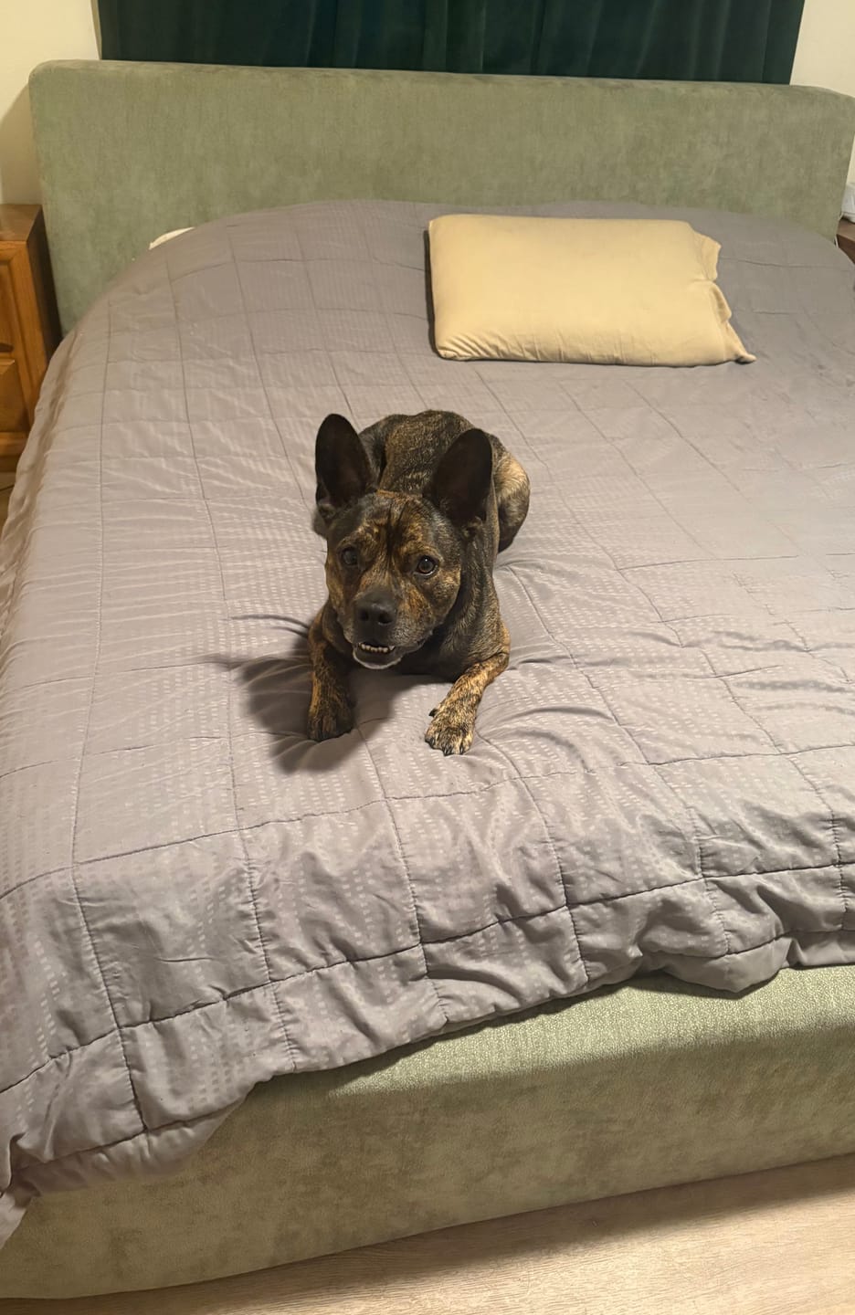 Customer photo review of O2 Bed SmartFoam™ Cloud Frame