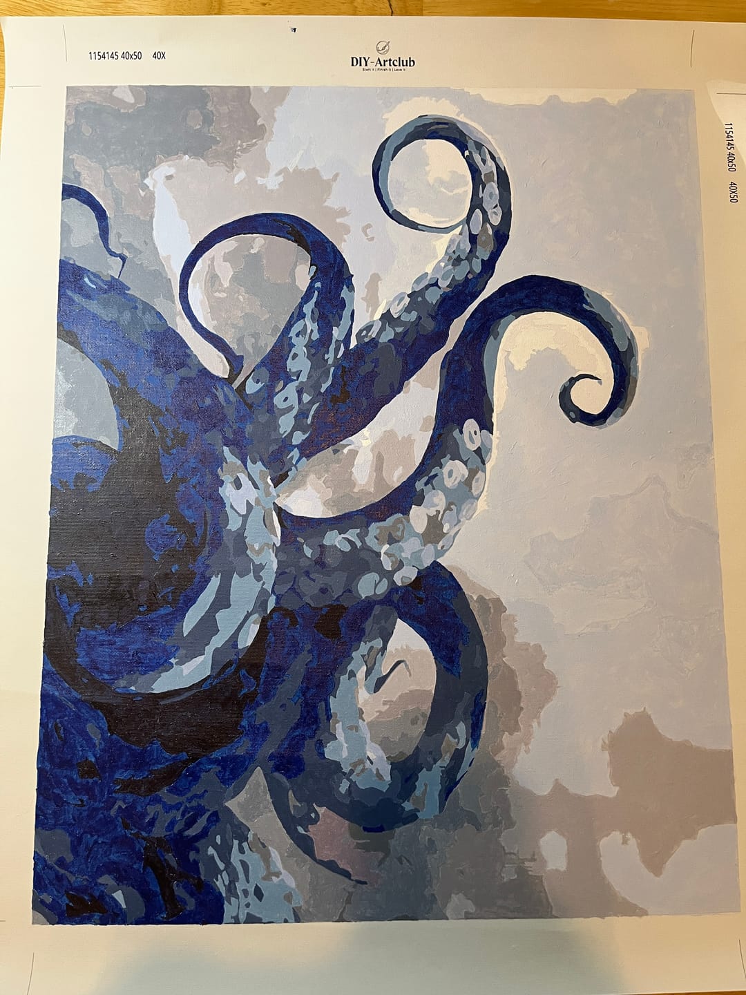 Customer photo review of Tentacles | Paint by Number
