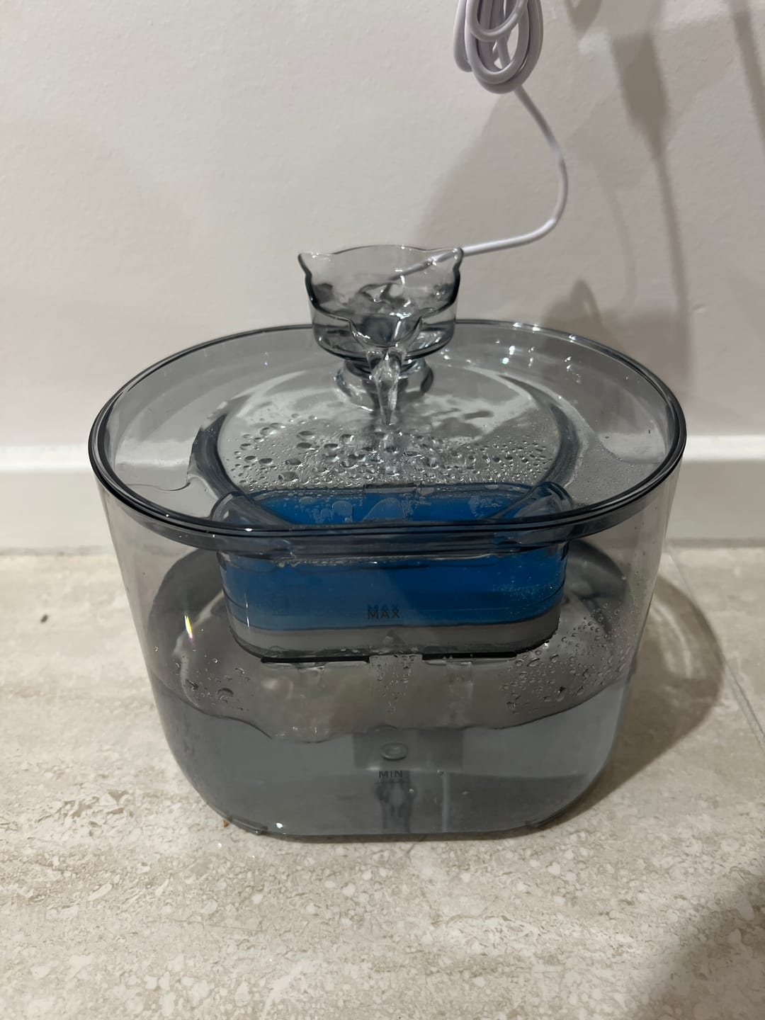 Customer photo review of 2.2L Transparent Pet Water Fountain with Dual Flow Mode