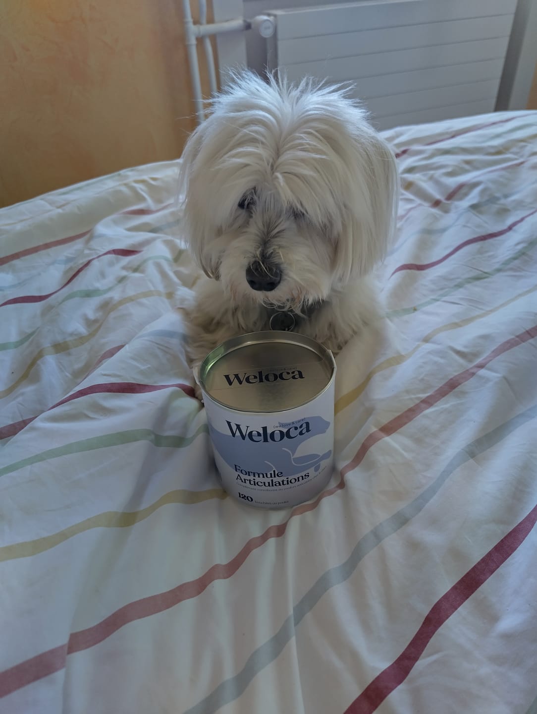 Customer photo review of Complément articulations