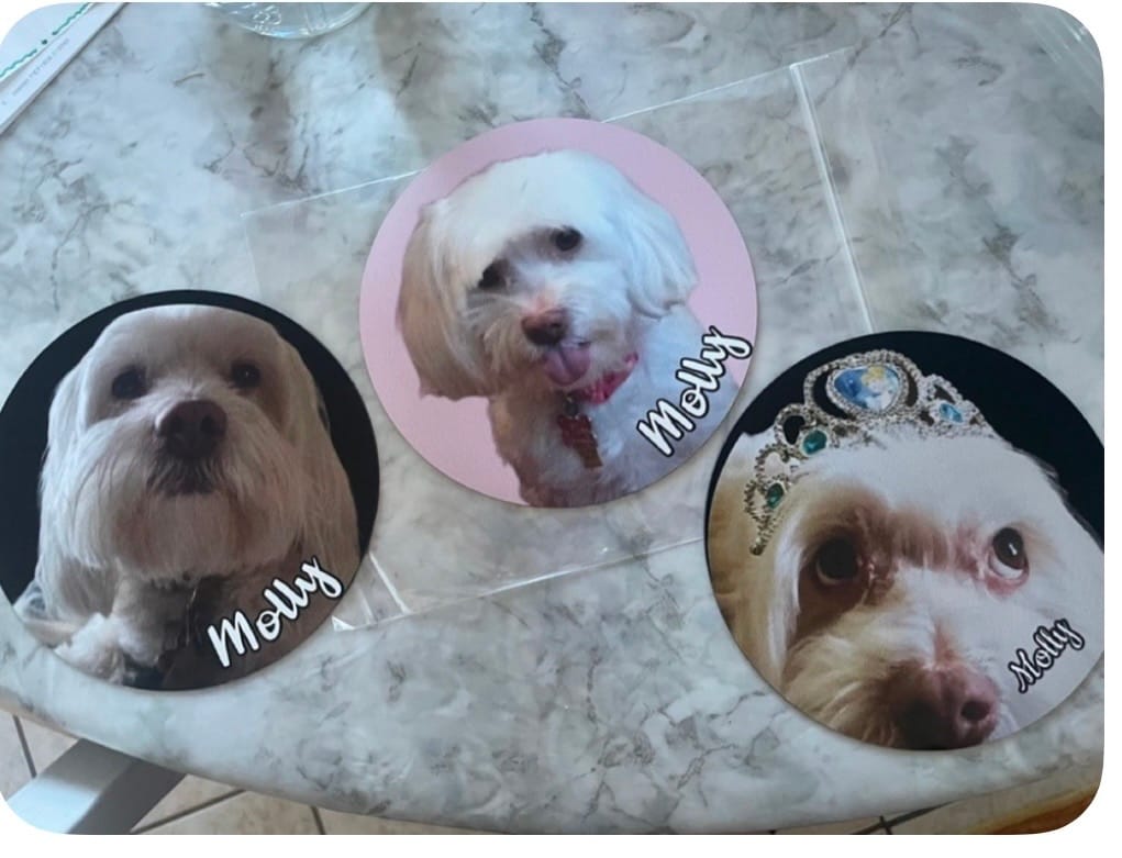 Customer photo review of Your photo - Personalized Car Magnet