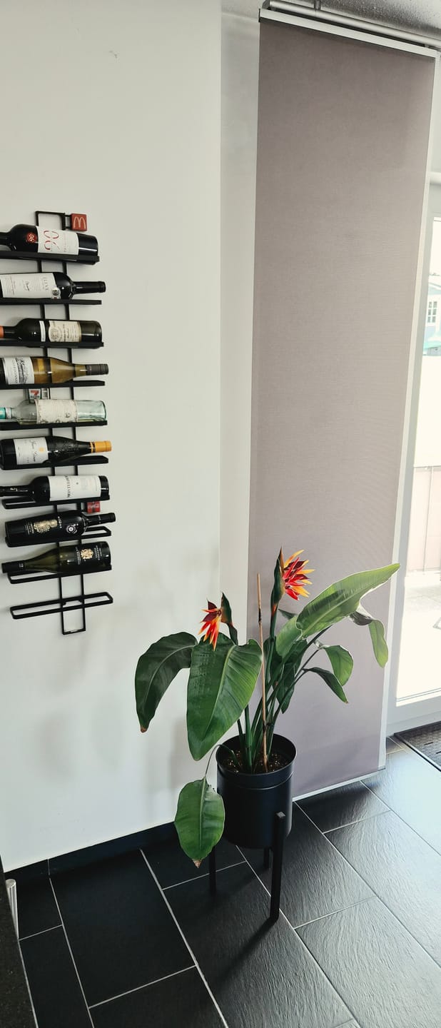 Customer photo review of 80 cm künstliche Strelitzien – für Heim, Garten, Büro, Veranda & Hochzeitdekoration