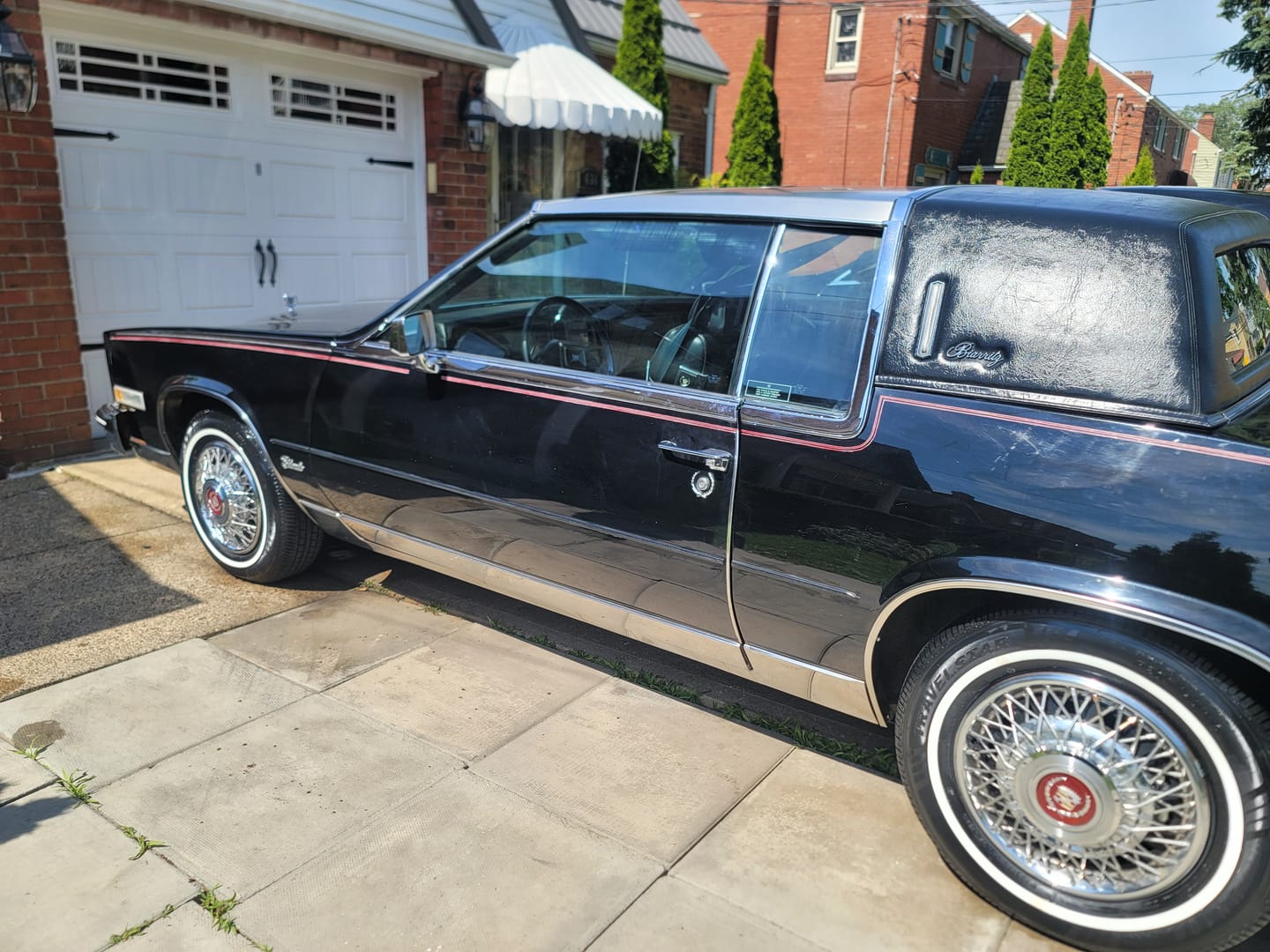 Customer photo review of Limlex® HydroShield-X Coating Spray