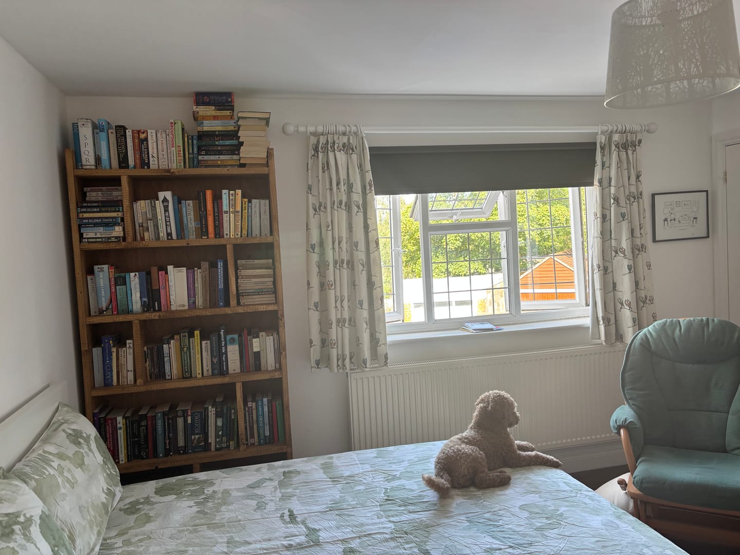 Customer photo review of Narrow backing bookcase