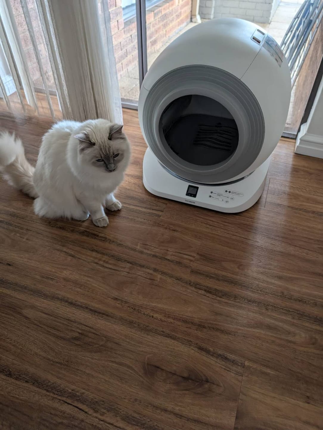 Customer photo review of The Petbuds Q-CLEAN Automatic Self-Cleaning Litter Box