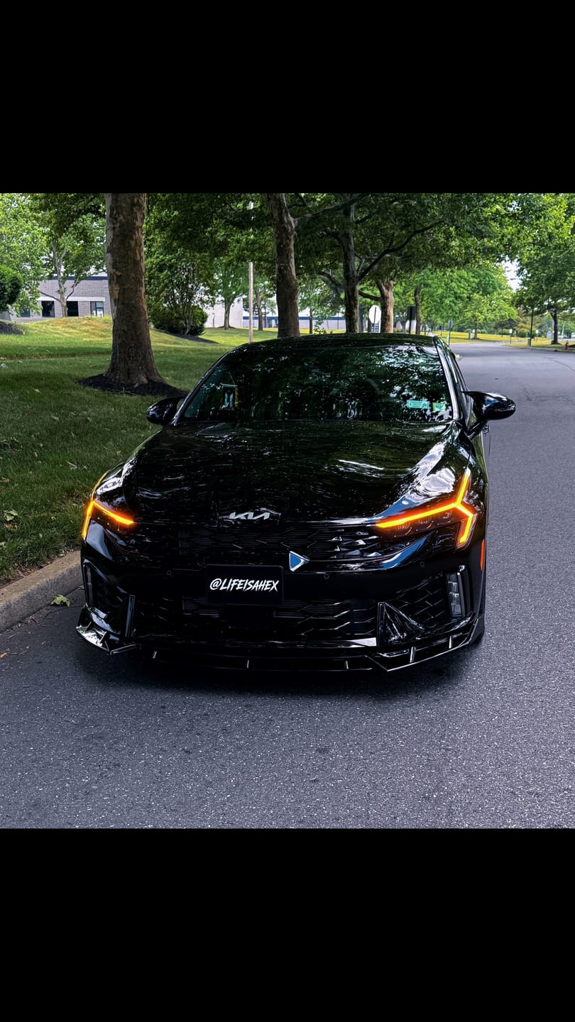 Customer photo review of Create Your Own Custom Magnetic License Plate Cover