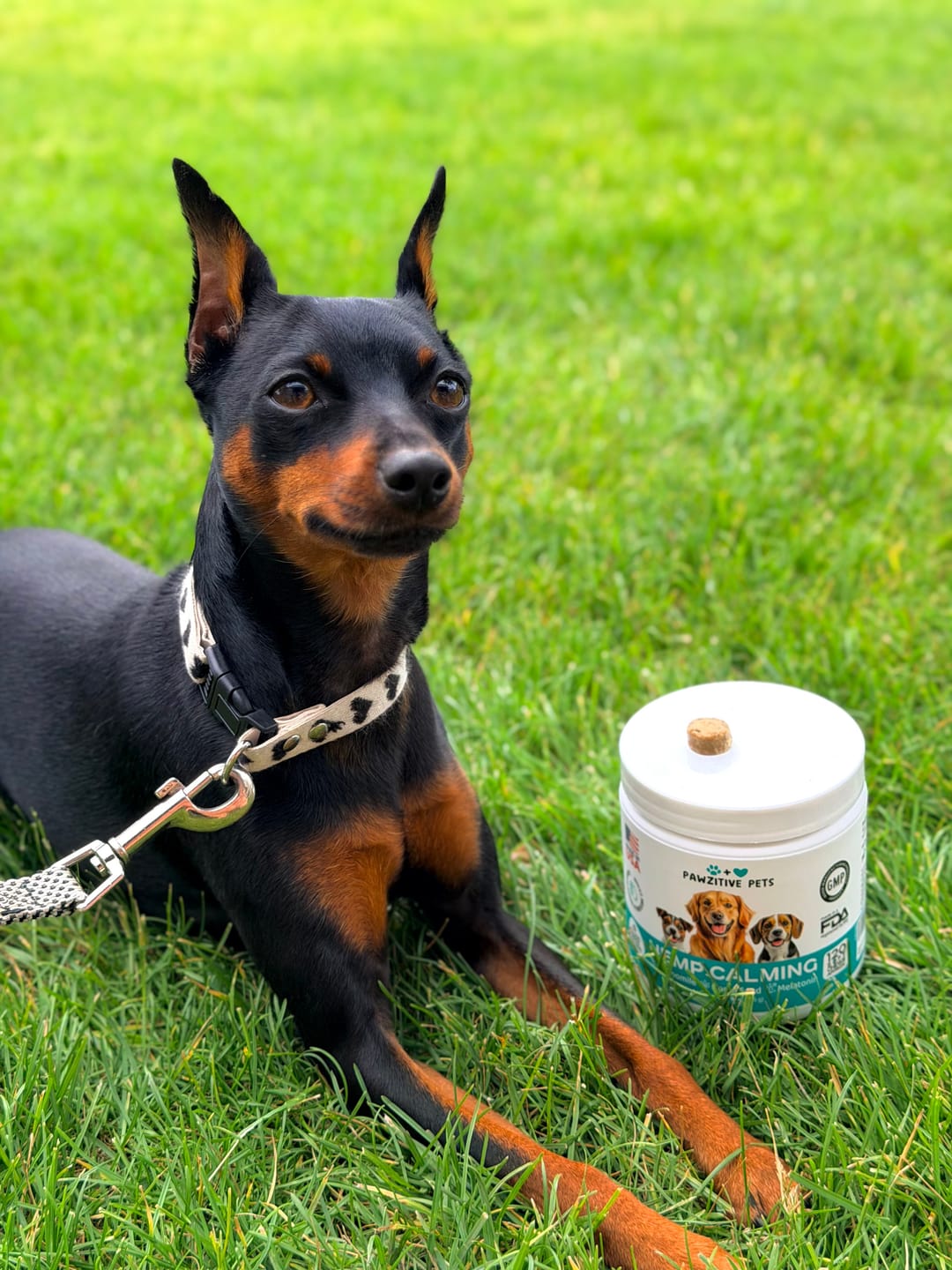 Customer photo review of Hemp Calming Chews for Dogs – 120 Soft Chews