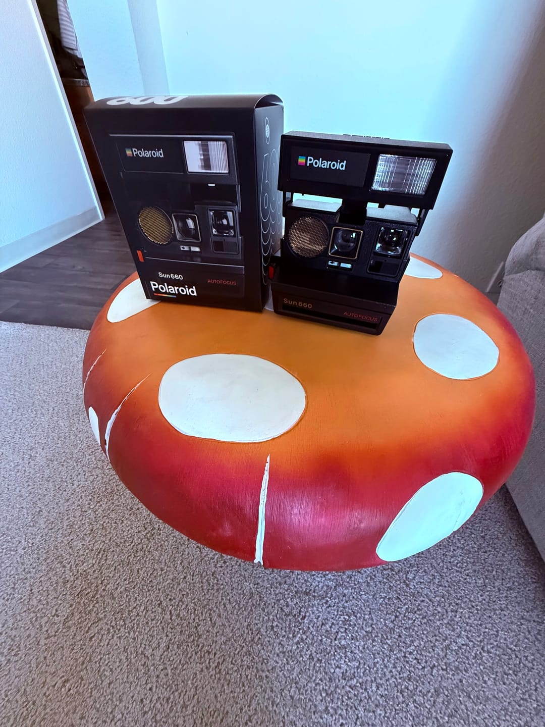 Customer photo review of Polaroid 600 Sun660 Autofocus Instant Film Camera