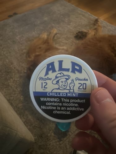 Customer photo review of Chilled Mint Nicotine Pouches