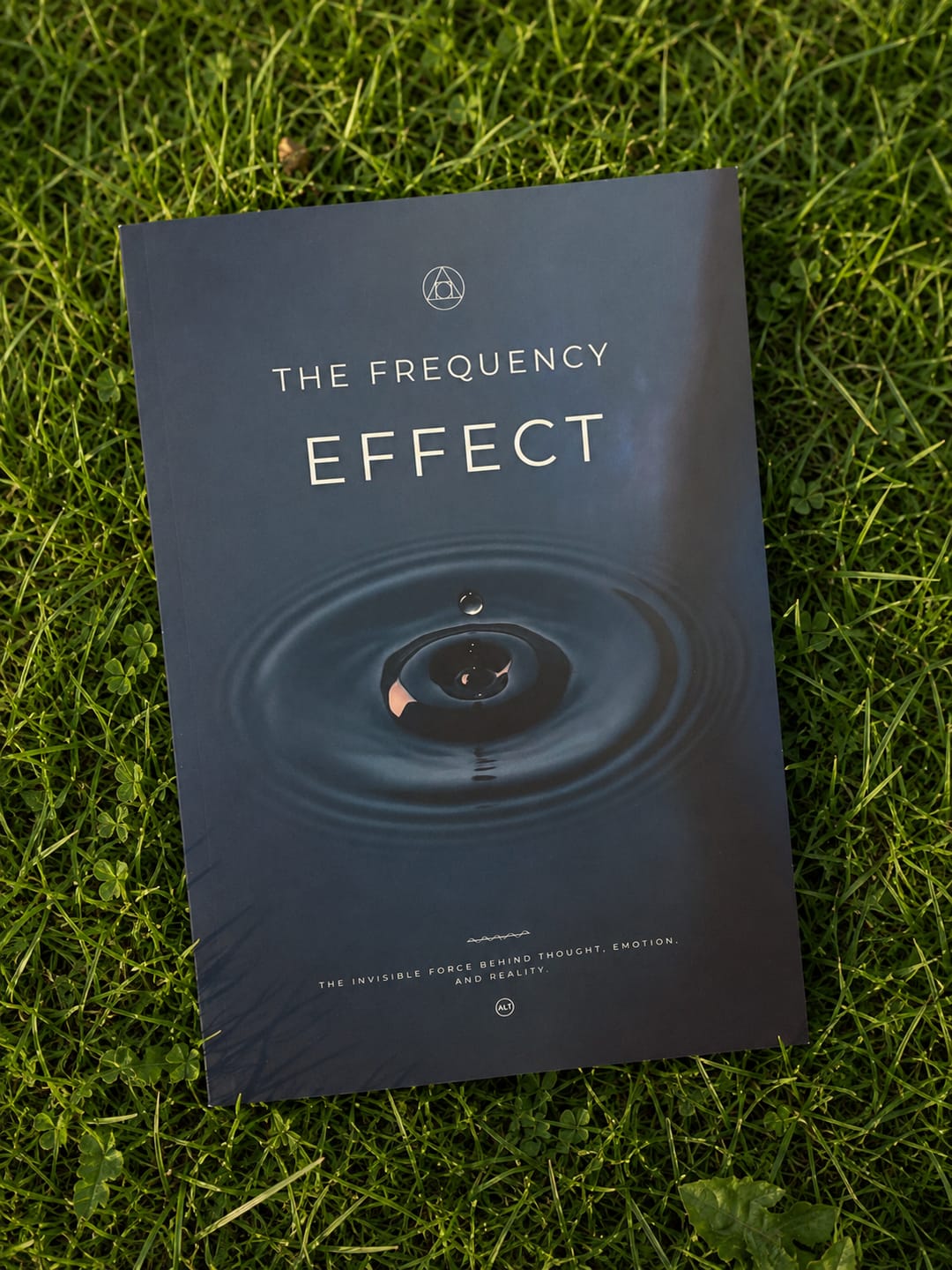 Customer photo review of The Frequency Effect (Classic)