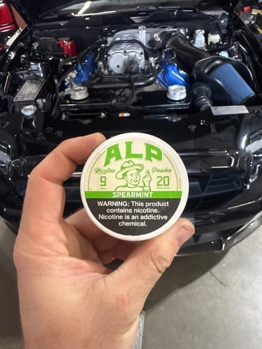 Customer photo review of Spearmint Nicotine Pouches