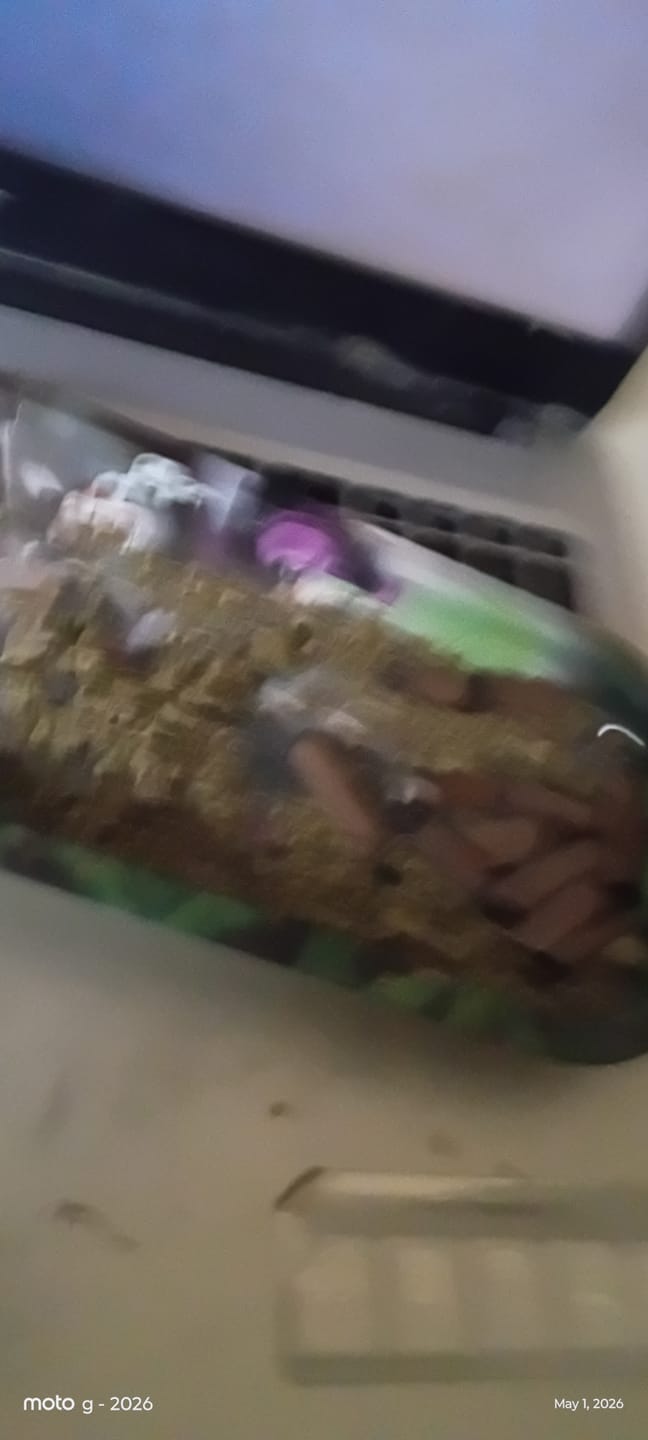 Customer photo review of Grape Gas - 14 Grams - Hybrid