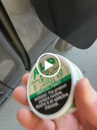 Customer photo review of Tropical Fruit Nicotine Pouches