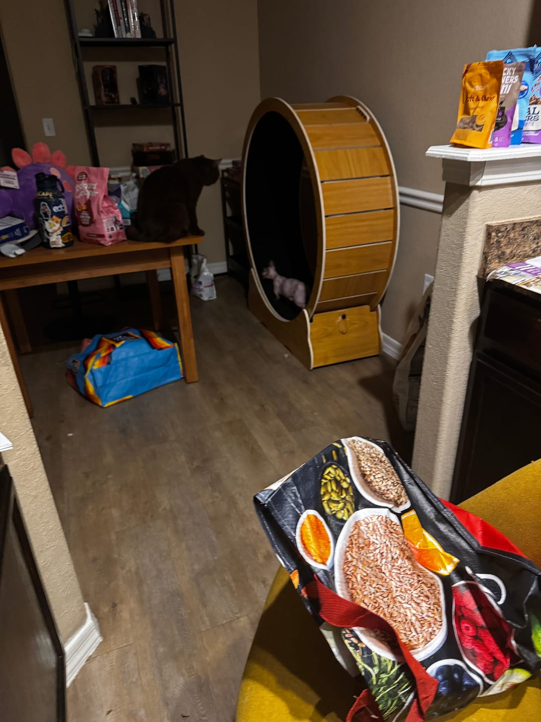Customer photo review of Nordic Beast Cat Wheel — Built for Large, High Energy Indoor Cats