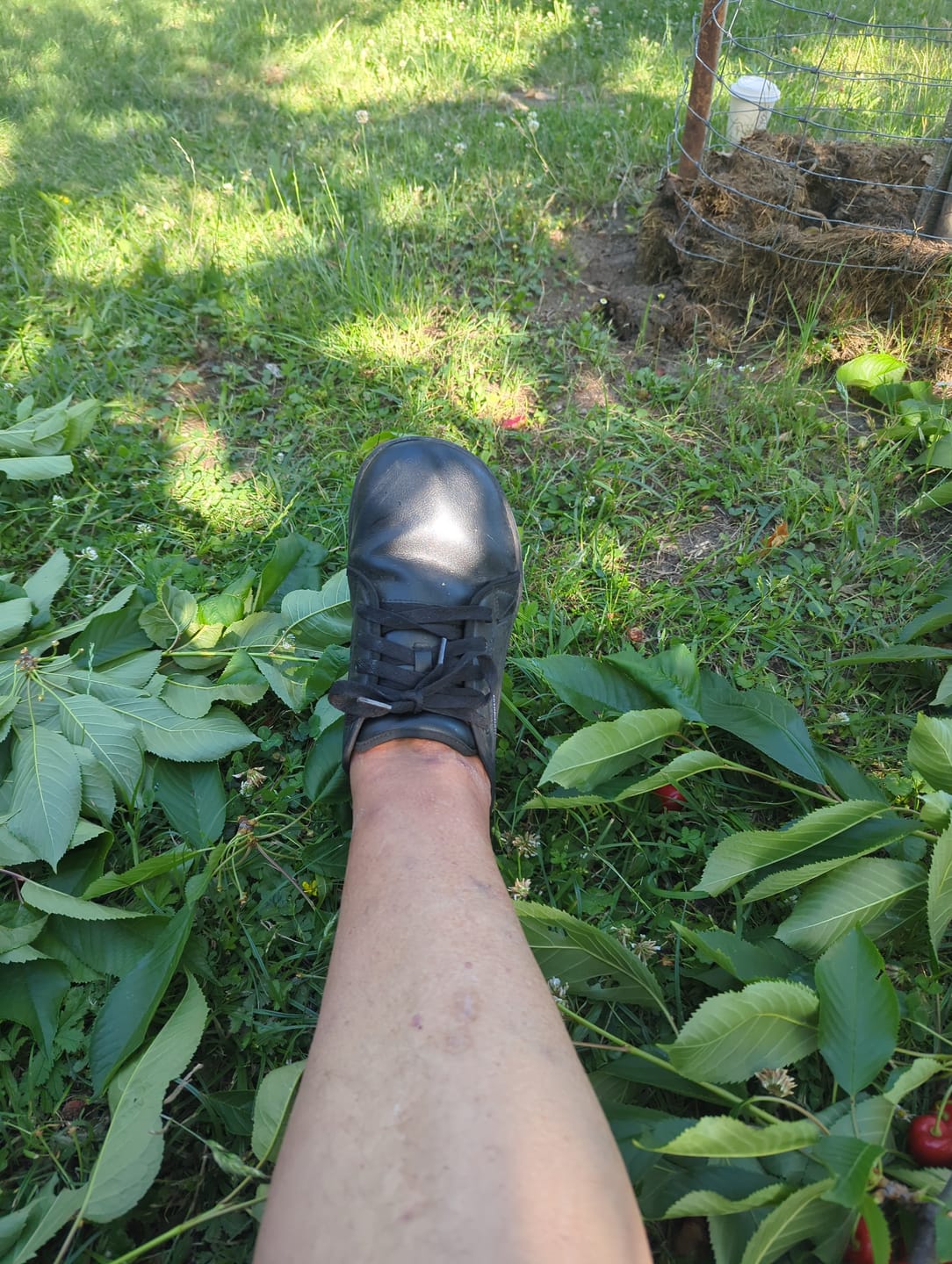Customer photo review of Ivy - Barfußschuhe