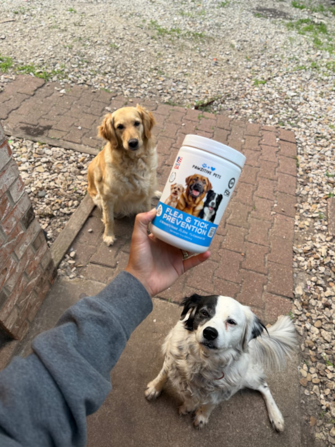 Customer photo review of Flea and Tick Prevention for Dogs – 120 Soft Chews