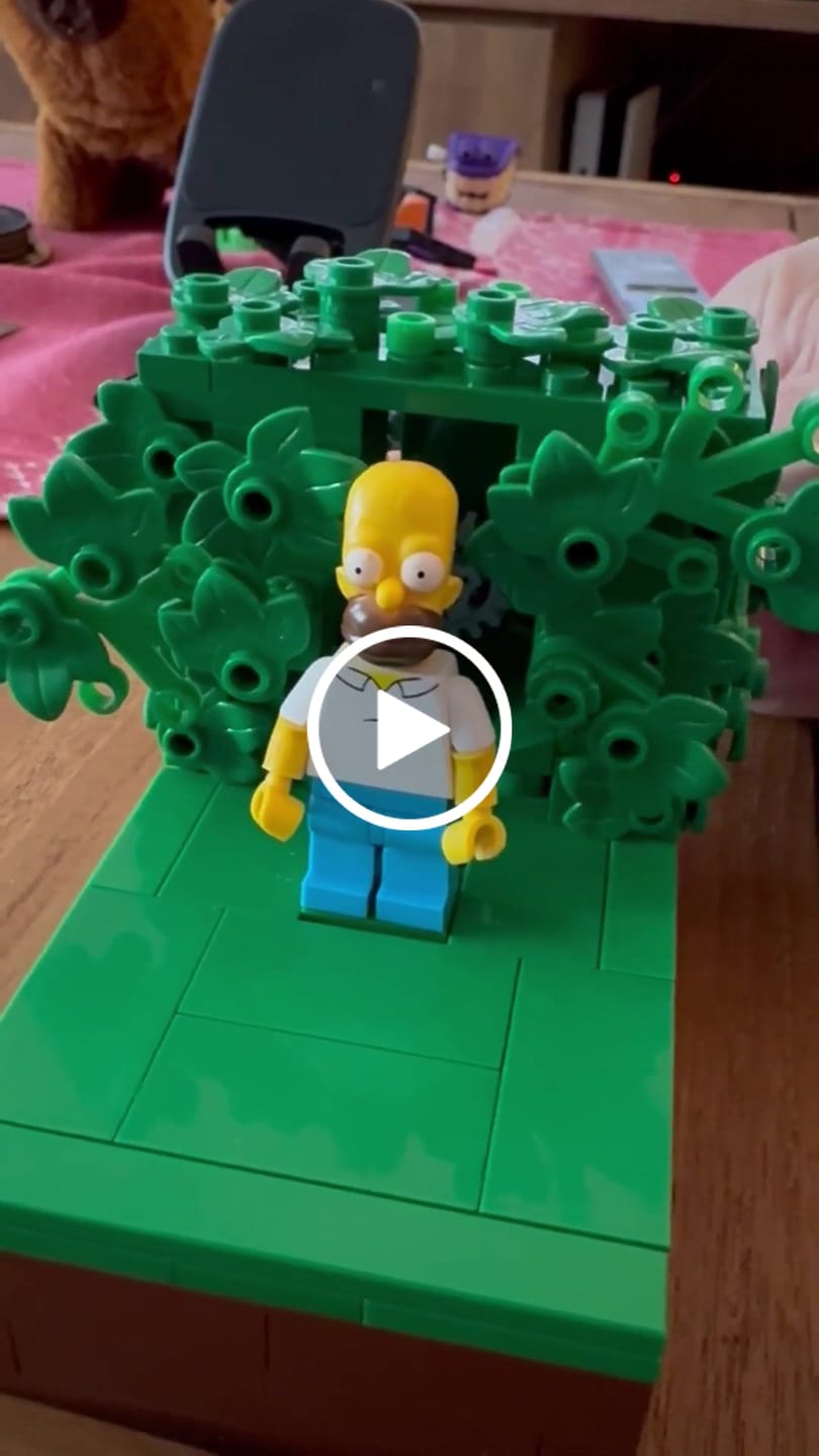 Customer video review of Buildable Homer in the Bushes Display Set
