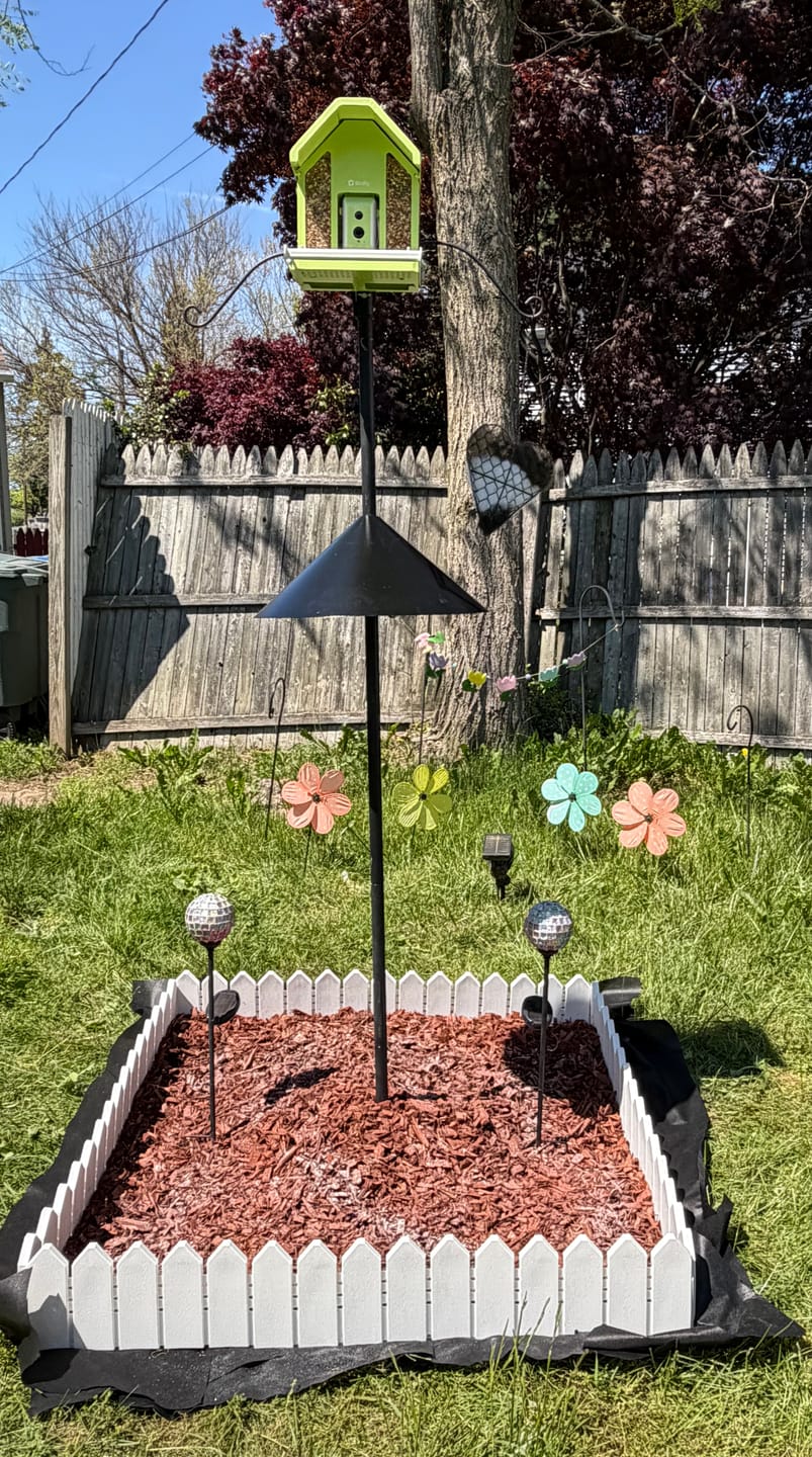 Customer photo review of Birdfy Feeder Metal - Smart Metal Feeder with Camera
