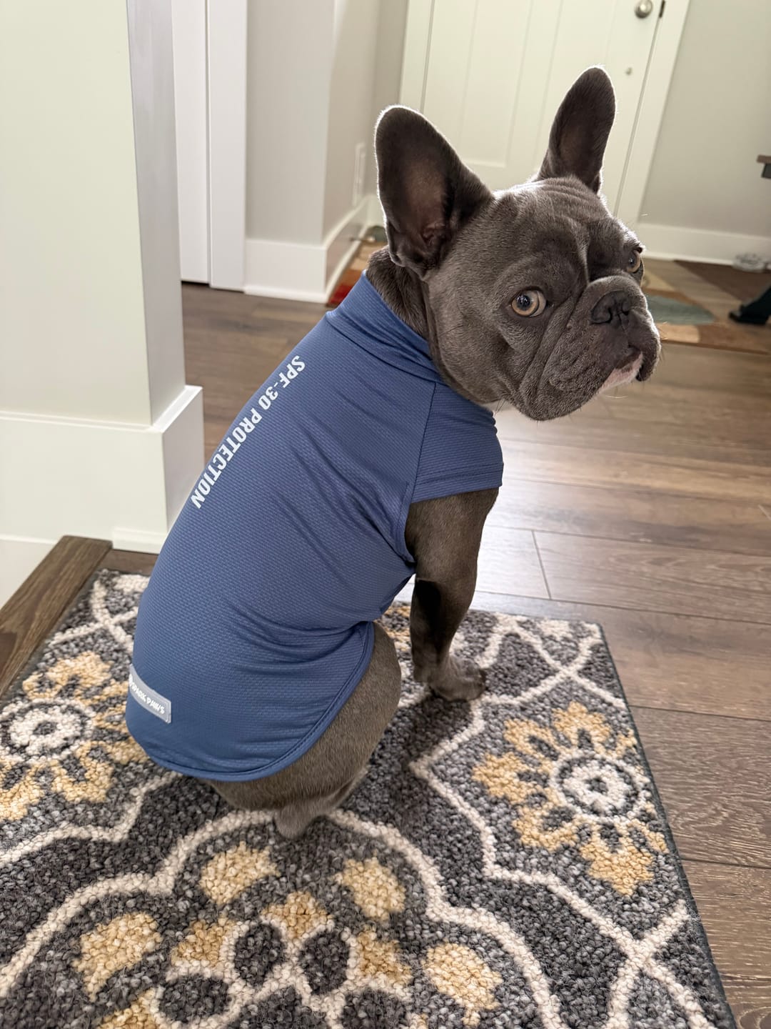 Customer photo review of Sunblock Dog T-Shirt - Navy Blue