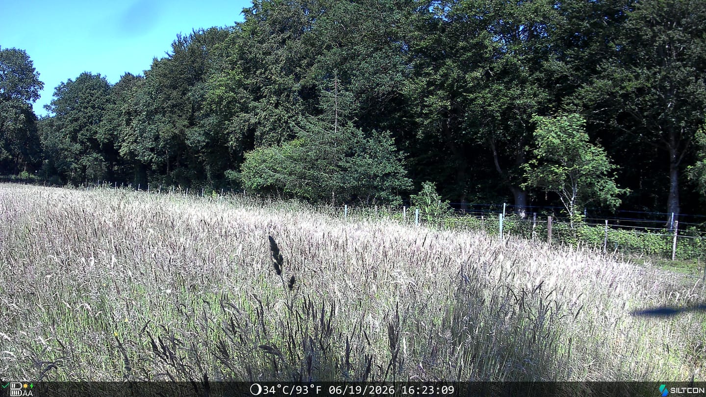 Customer photo review of Siltcon® Wildcamera met Zonnepaneel 8K