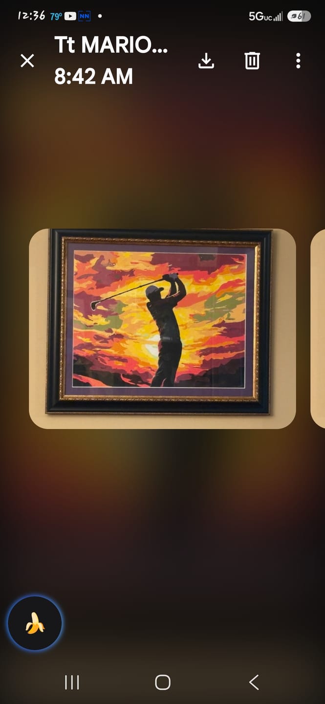 Customer photo review of Sunset Strikes