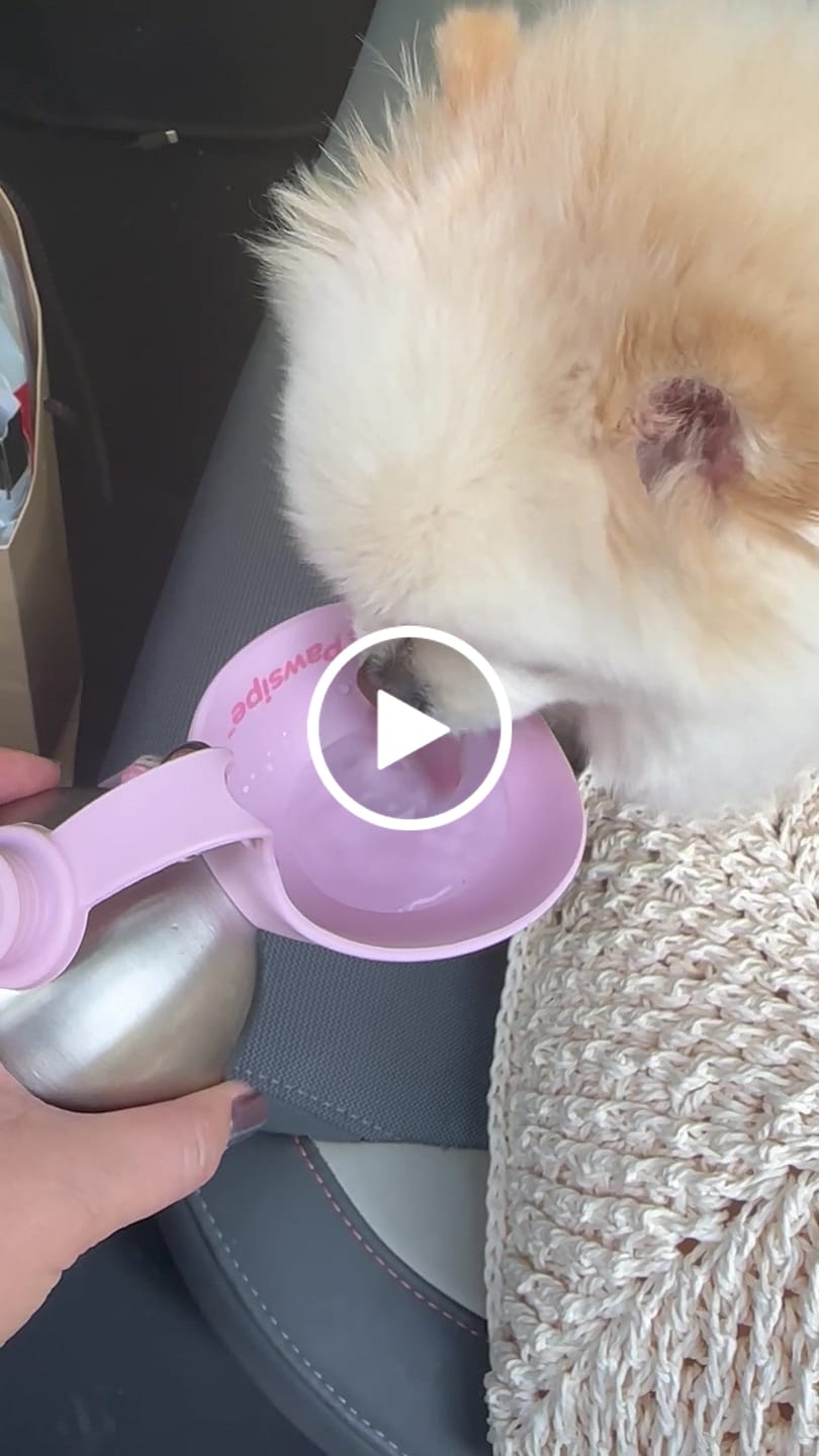 Customer video review of PawSipe™ Çelik Köpek Yürüyüş Matarası
