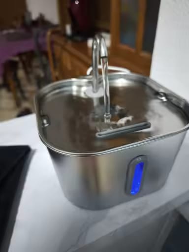 Customer photo review of KittyFlow - מזרקת מים לחתול