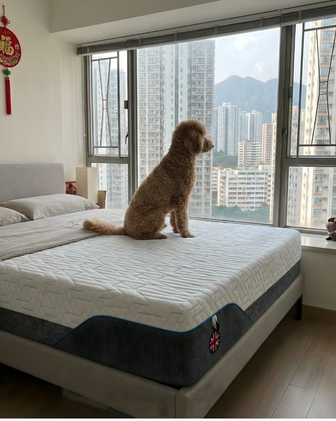 Customer photo review of 英國 Haley Hybrid Mattress 床褥