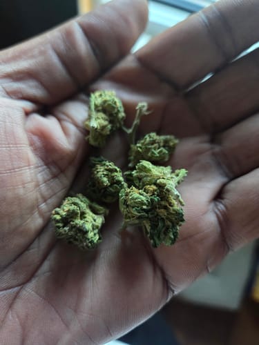 CBD Flower - Forbidden Fruit photo review