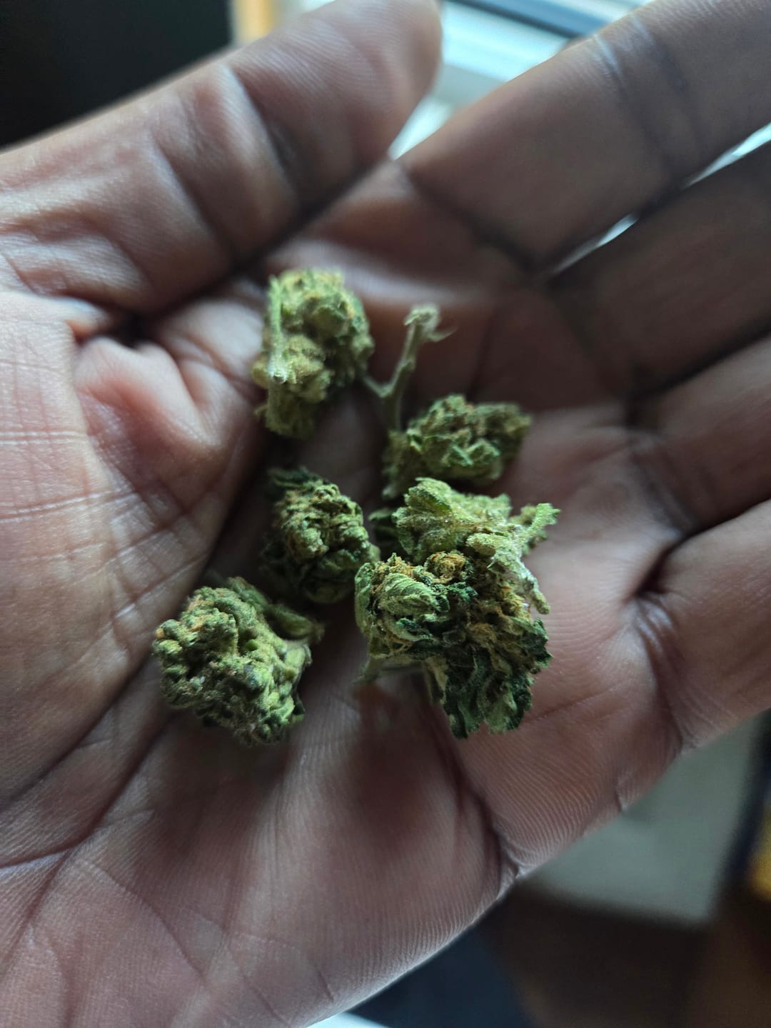 Customer photo review of Grape Gas - 14 Grams - Hybrid