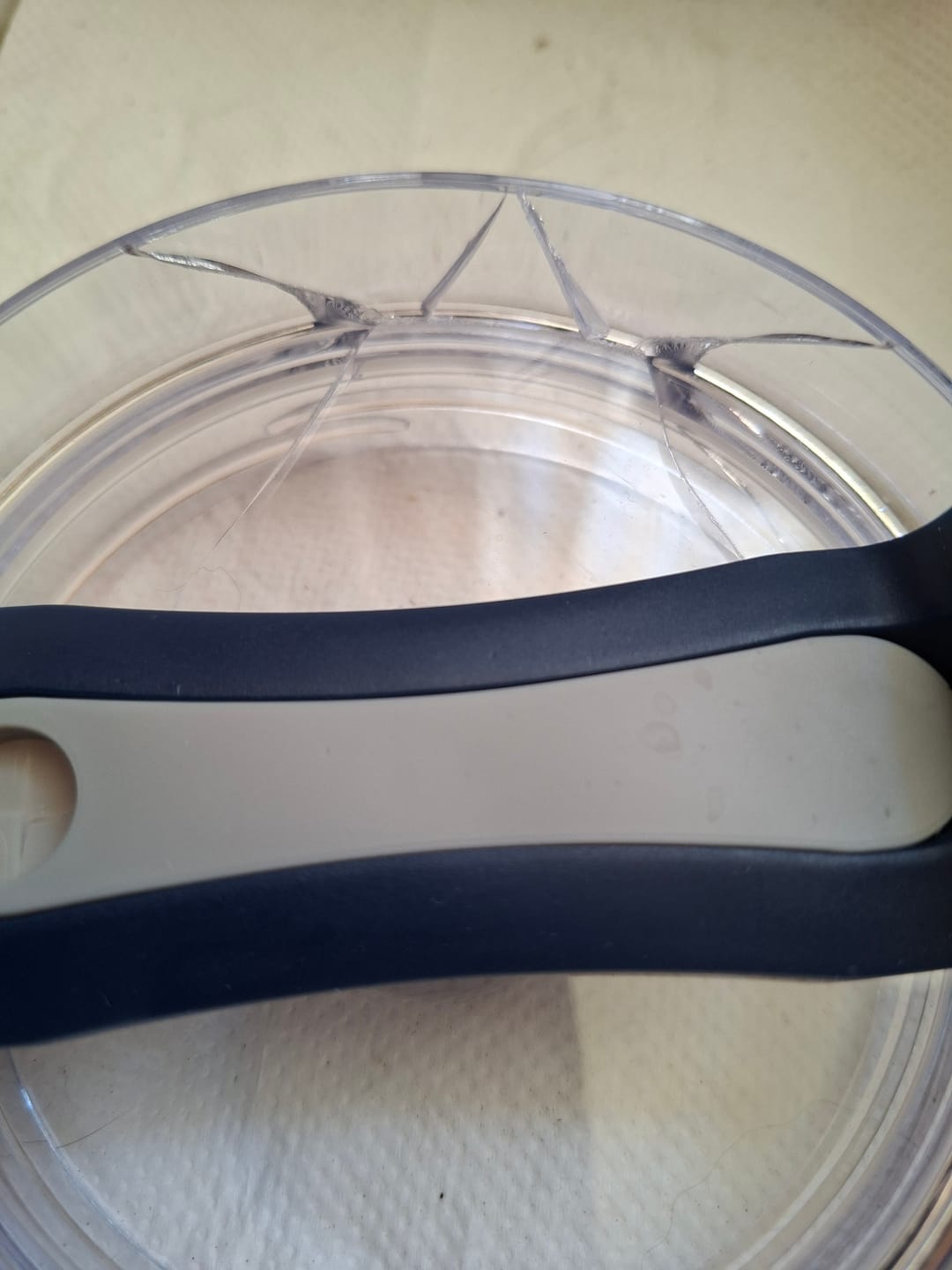 Customer photo review of WE KNOW STANDACE CUP