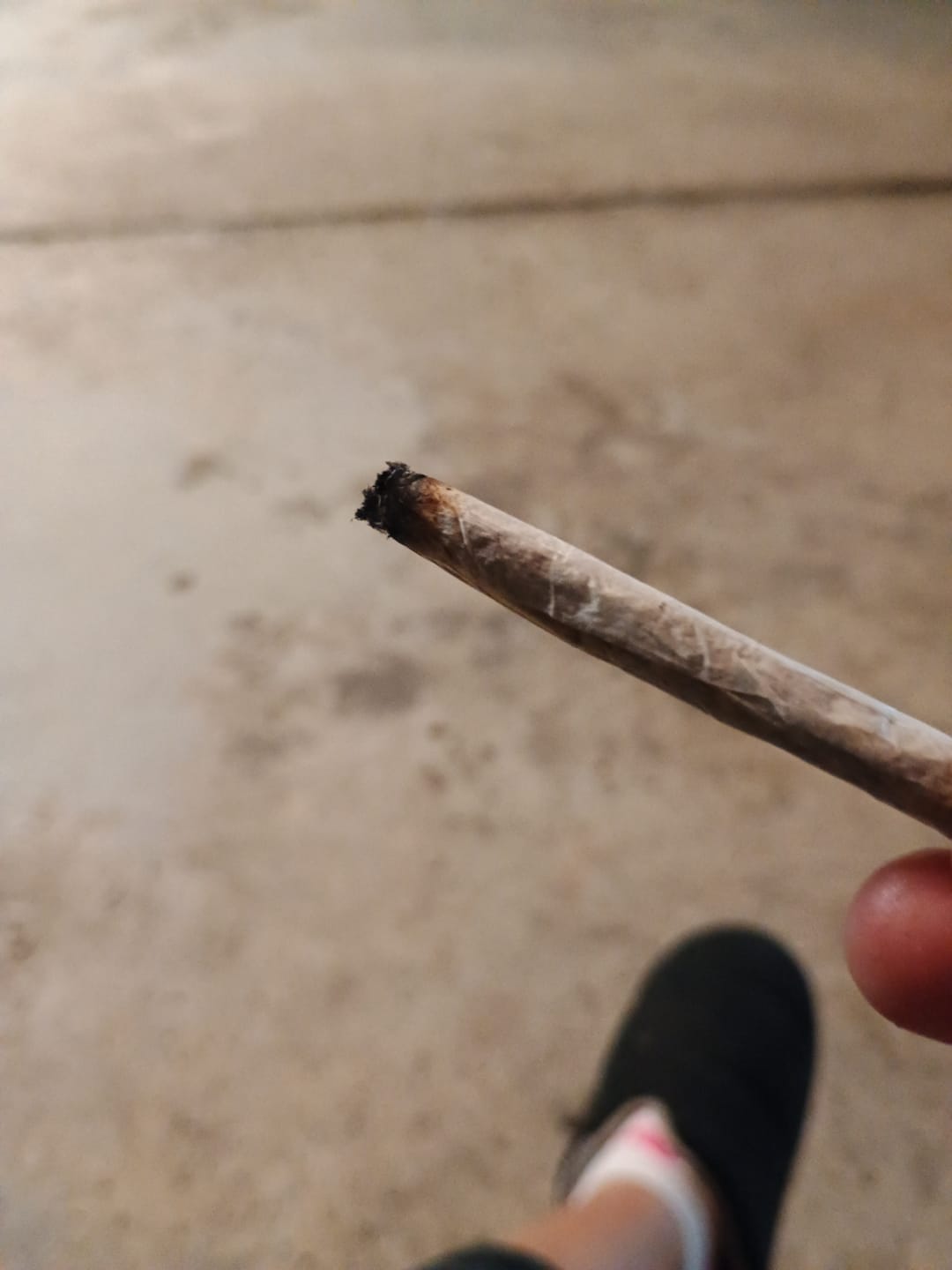 Customer photo review of Purple Jack - 28 Grams Littles - Hybrid