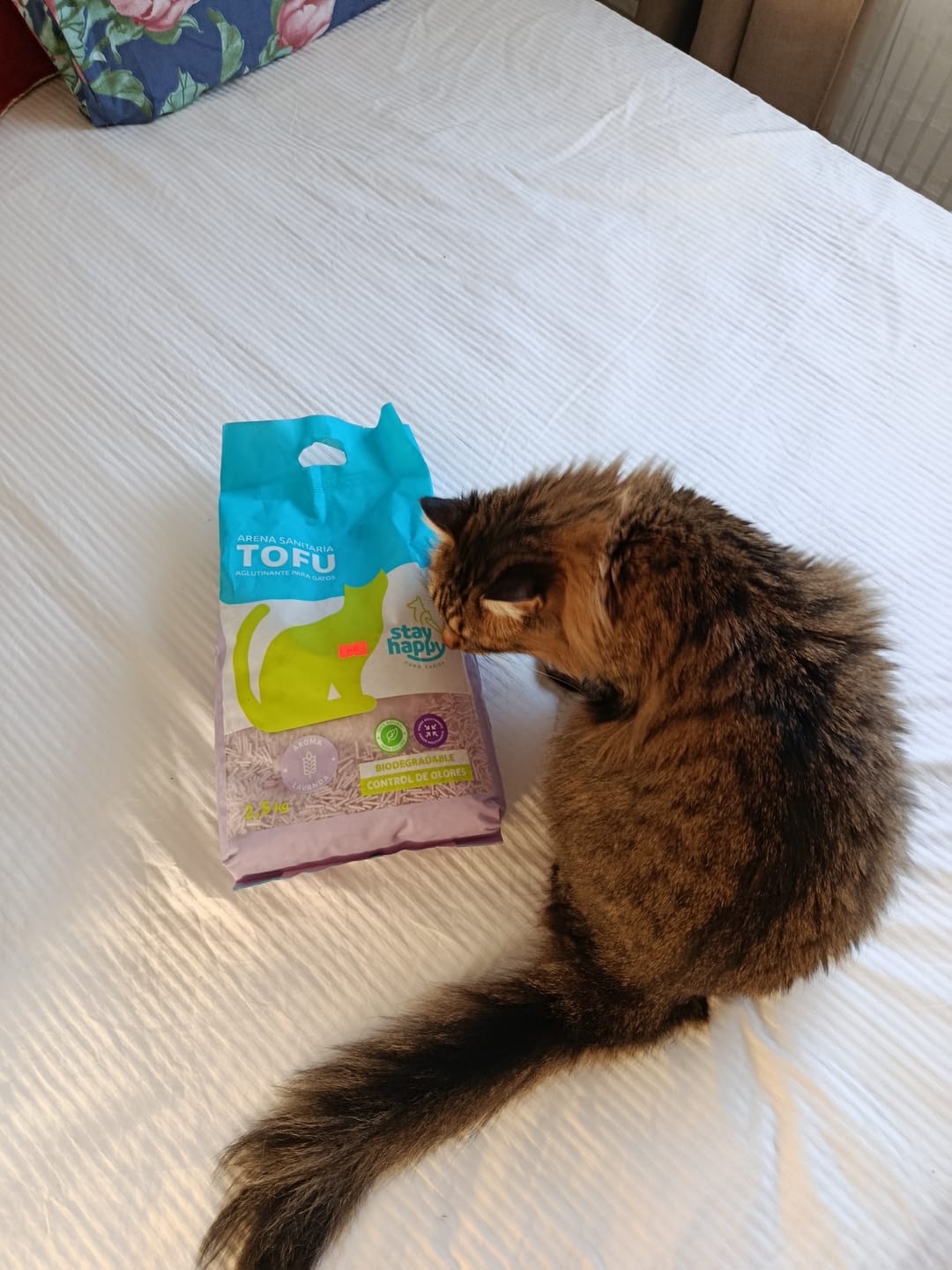 Customer photo review of ARENA SANITARIA STAY HAPPY TOFU LAVANDA 2,5 kg