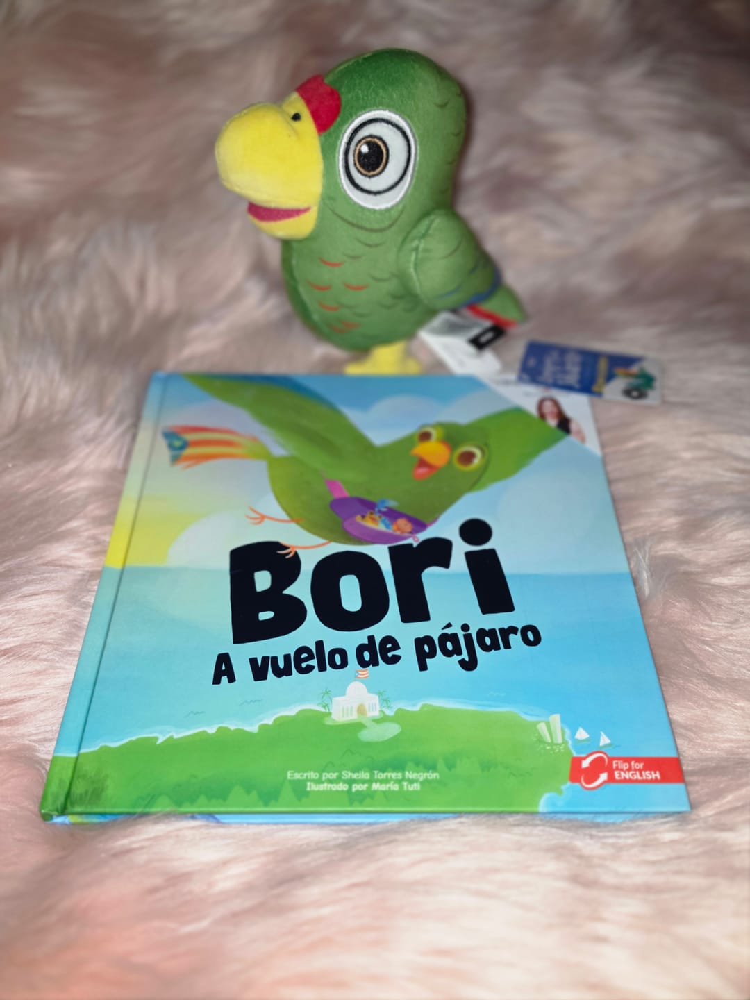Customer photo review of Bori: A Vuelo de Pájaro | Libro Bilingüe