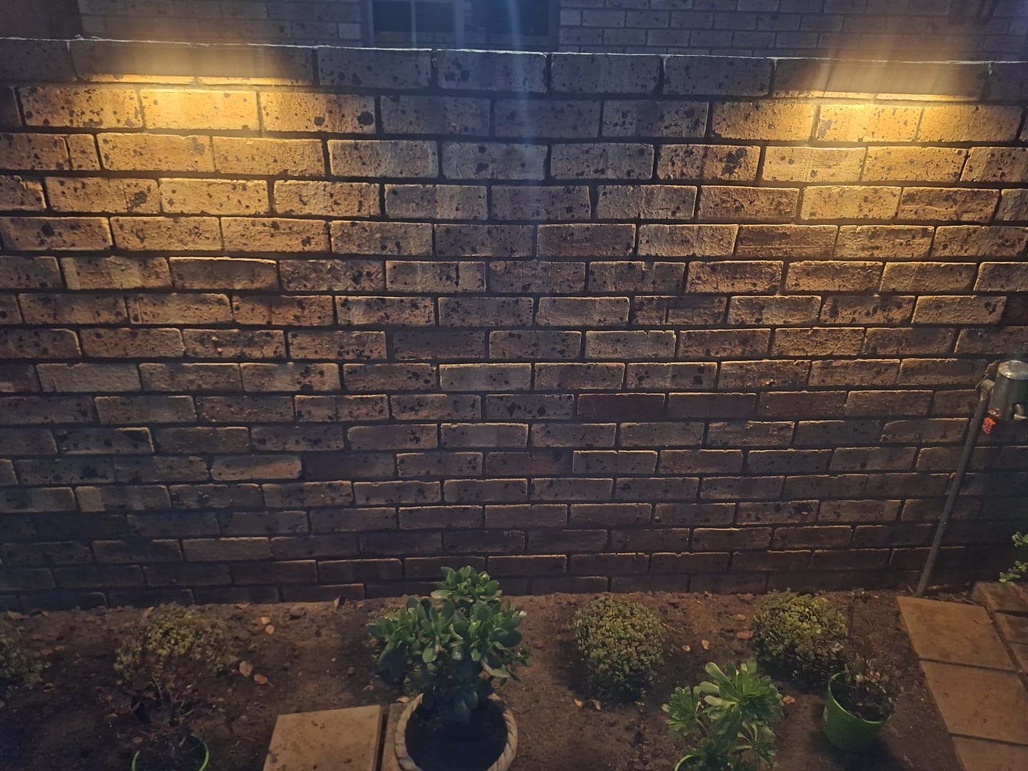 Customer photo review of Solar Wall Light with Motion Sensor