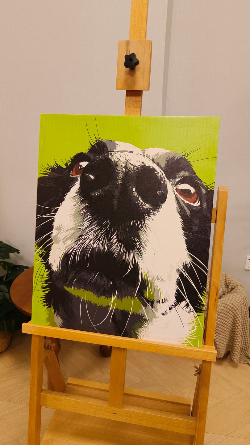 Customer photo review of Sniff Mode | Paint by Number