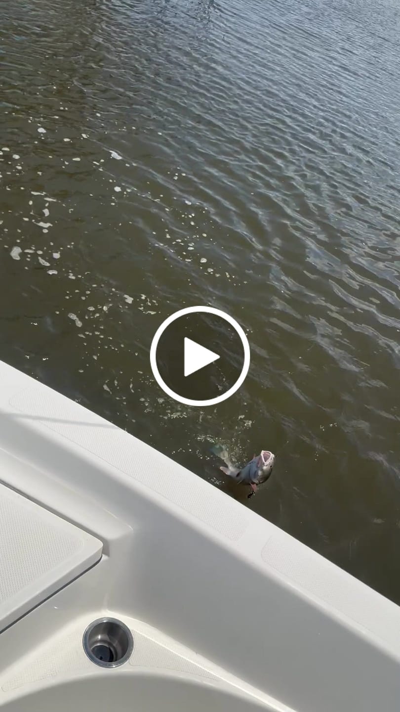 Customer video review of Elite Nearshore/Offshore Spinning Rods