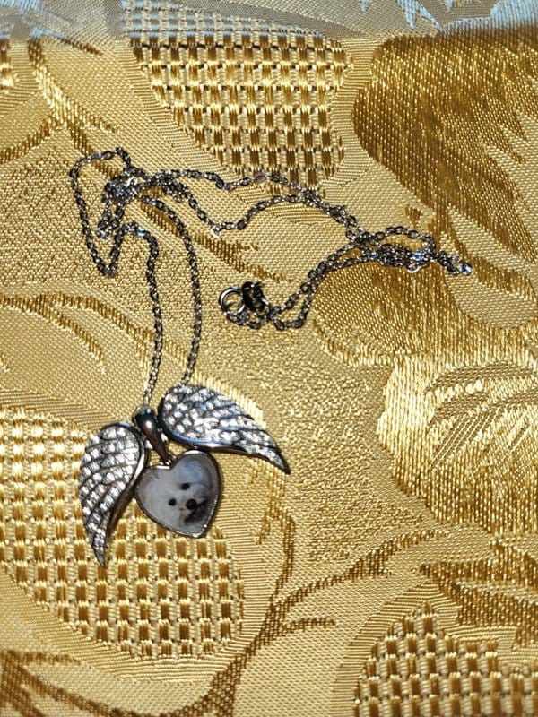 Customer photo review of Custom Angel Wing Photo Locket Necklace