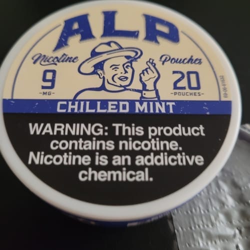 Customer photo review of Chilled Mint Nicotine Pouches