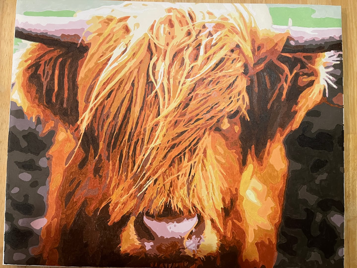 Customer photo review of Scottish Highland Cattle | Paint by numbers