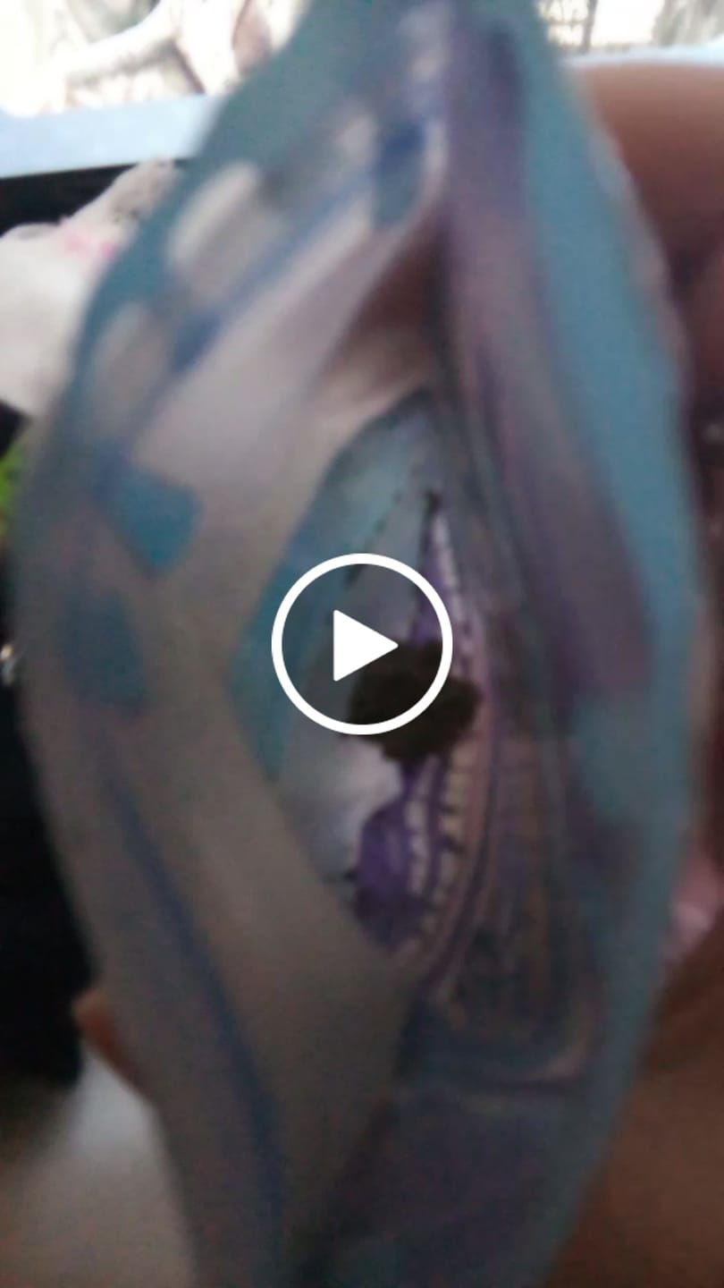 Customer video review of Obama Kandy - 3.5g