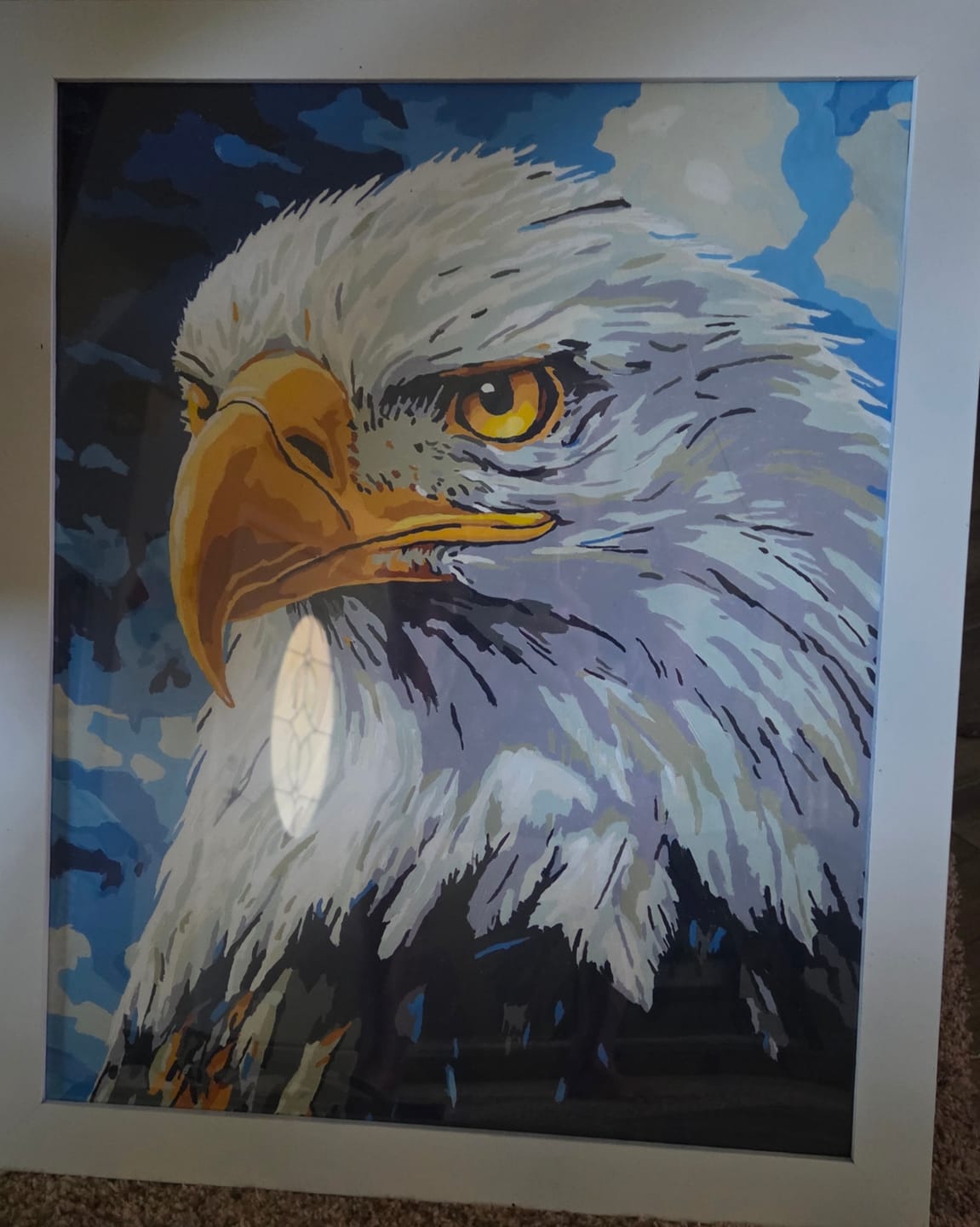 Customer photo review of Eagle Gaze