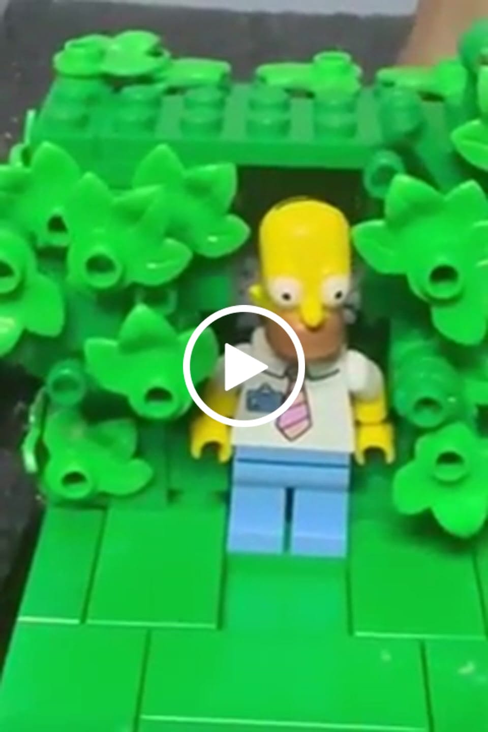 Customer video review of Buildable Homer in the Bushes Display Set